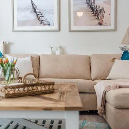 Strandmuschel Zingst