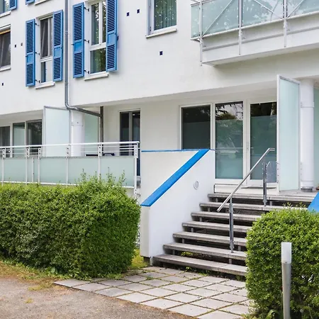 Strandmuschel Zingst