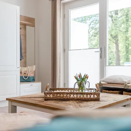 Strandmuschel * Zingst